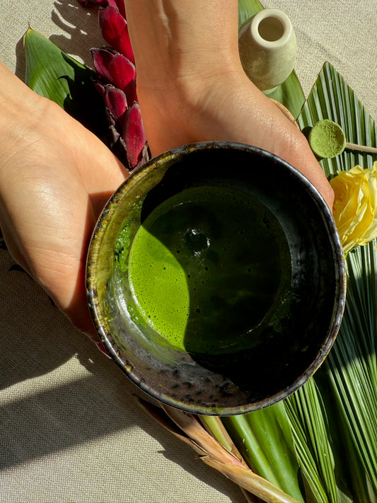 Shigaraki Yaki Chawan